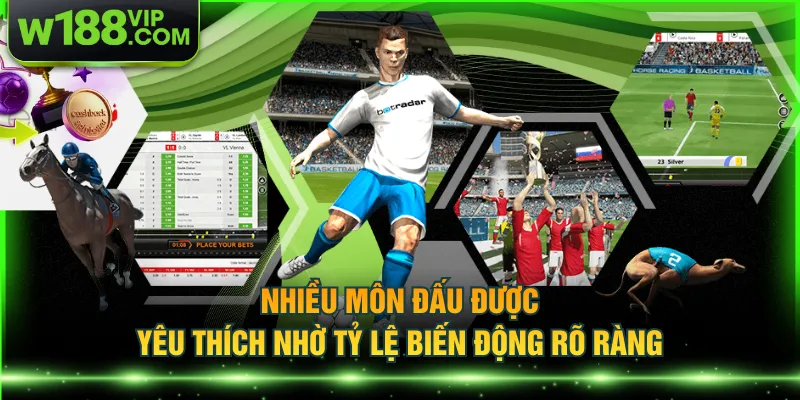 Nhiều môn đấu được yêu thích nhờ tỷ lệ biến động rõ ràng